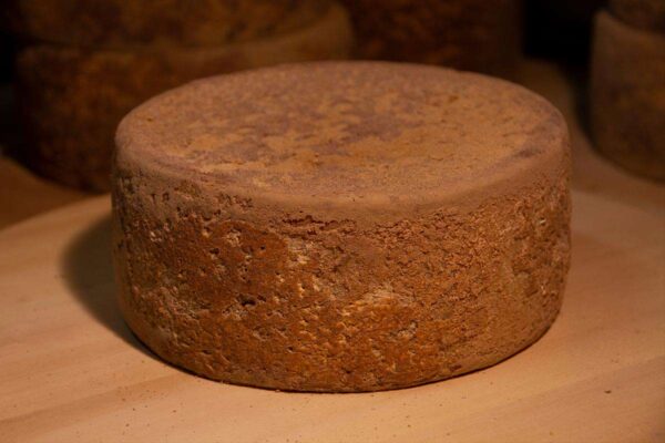 Primo piano di forma di formaggio di pecora stagionato, crosta in evidenza