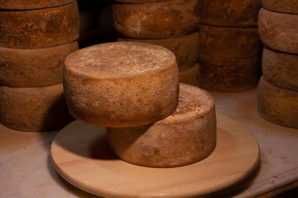 due forme di formaggio stagionato di pecora su tagliere, sfondo con altri formaggi